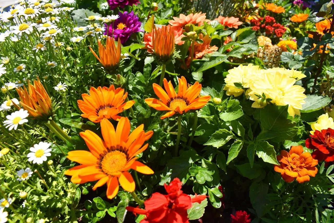 *** Panzió Hotel Garden Terrace Isztambul Törökország