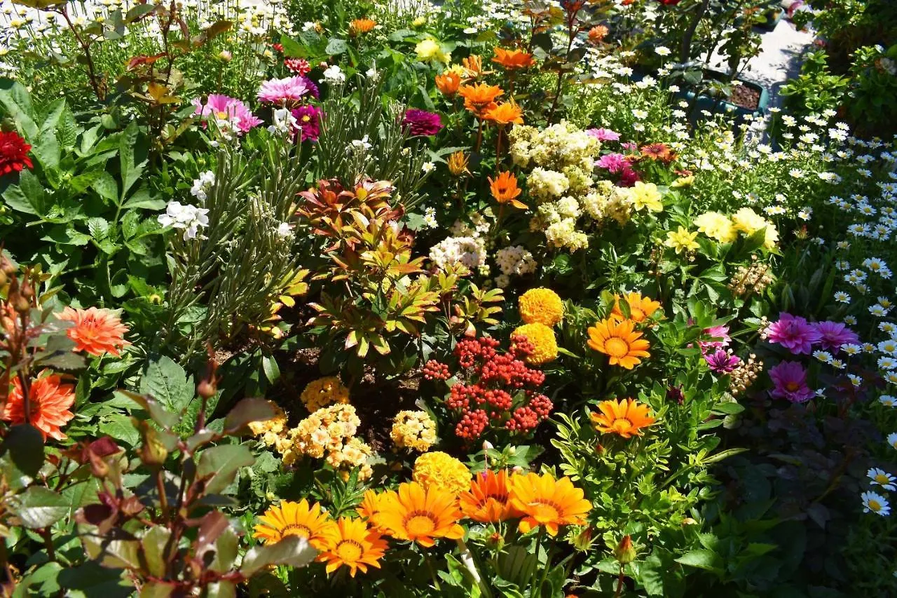 Bed & Breakfast Hotel Garden Terrace Istanbul